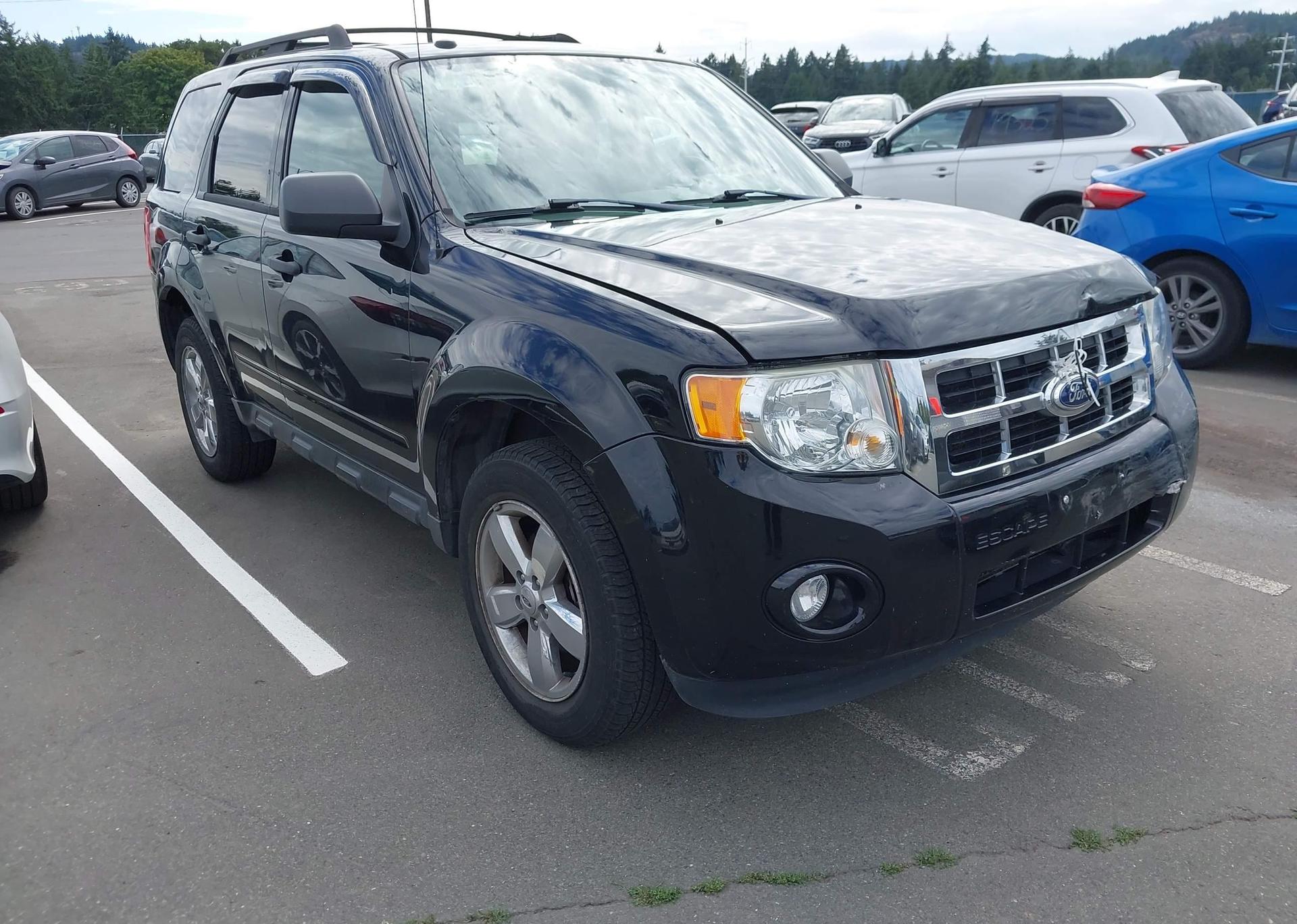 2010 FORD ESCAPE XLT