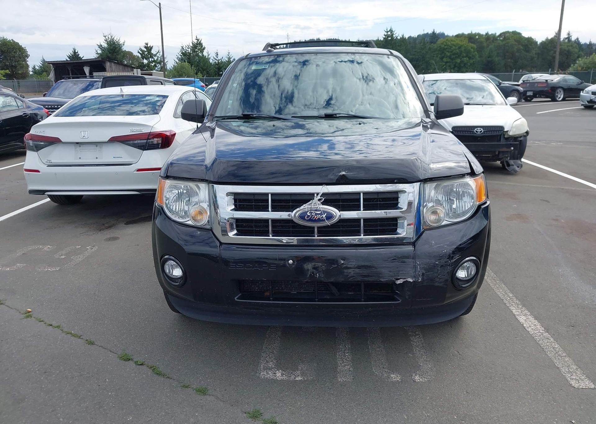 2010 FORD ESCAPE XLT