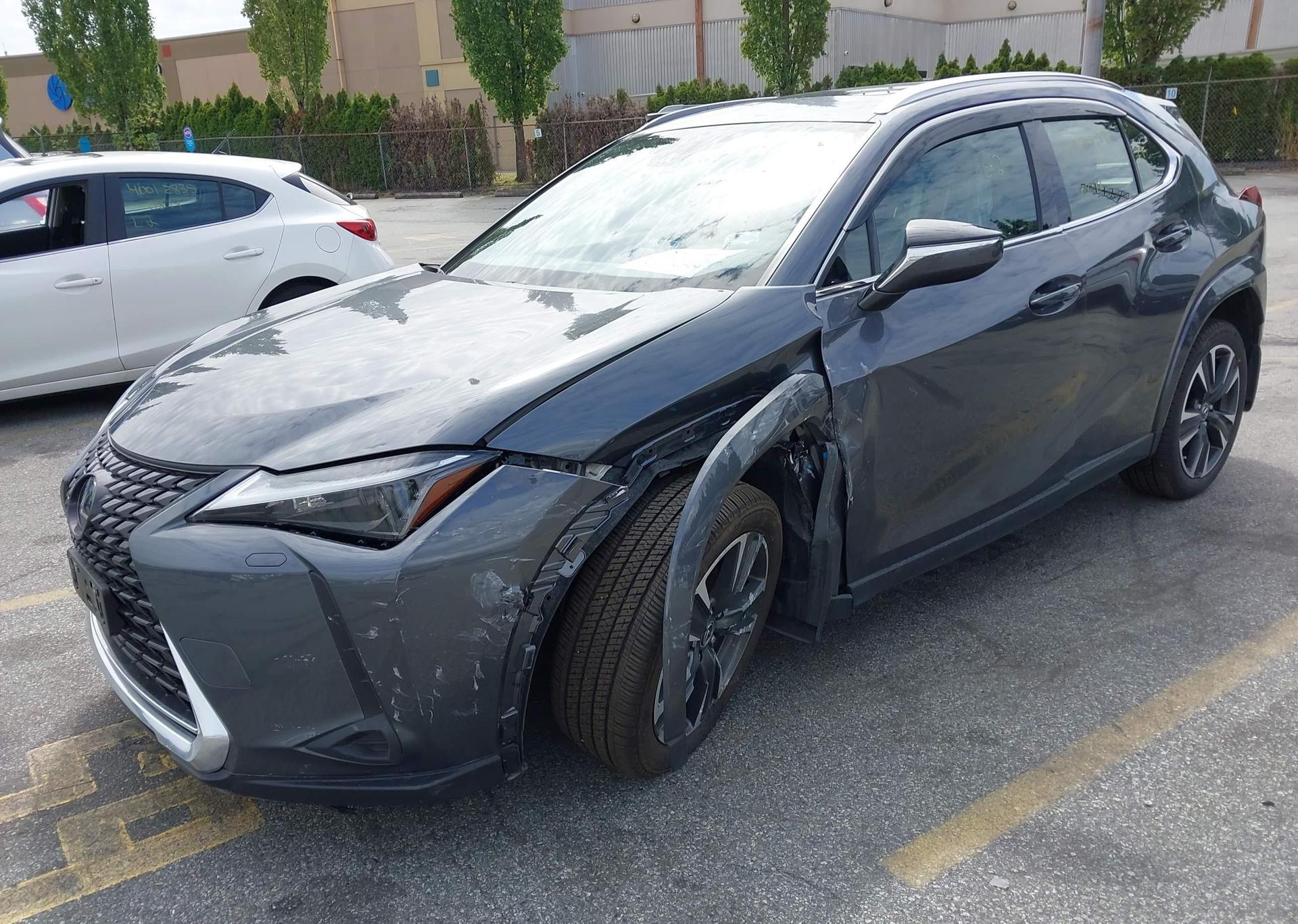 2024 LEXUS UX 250H