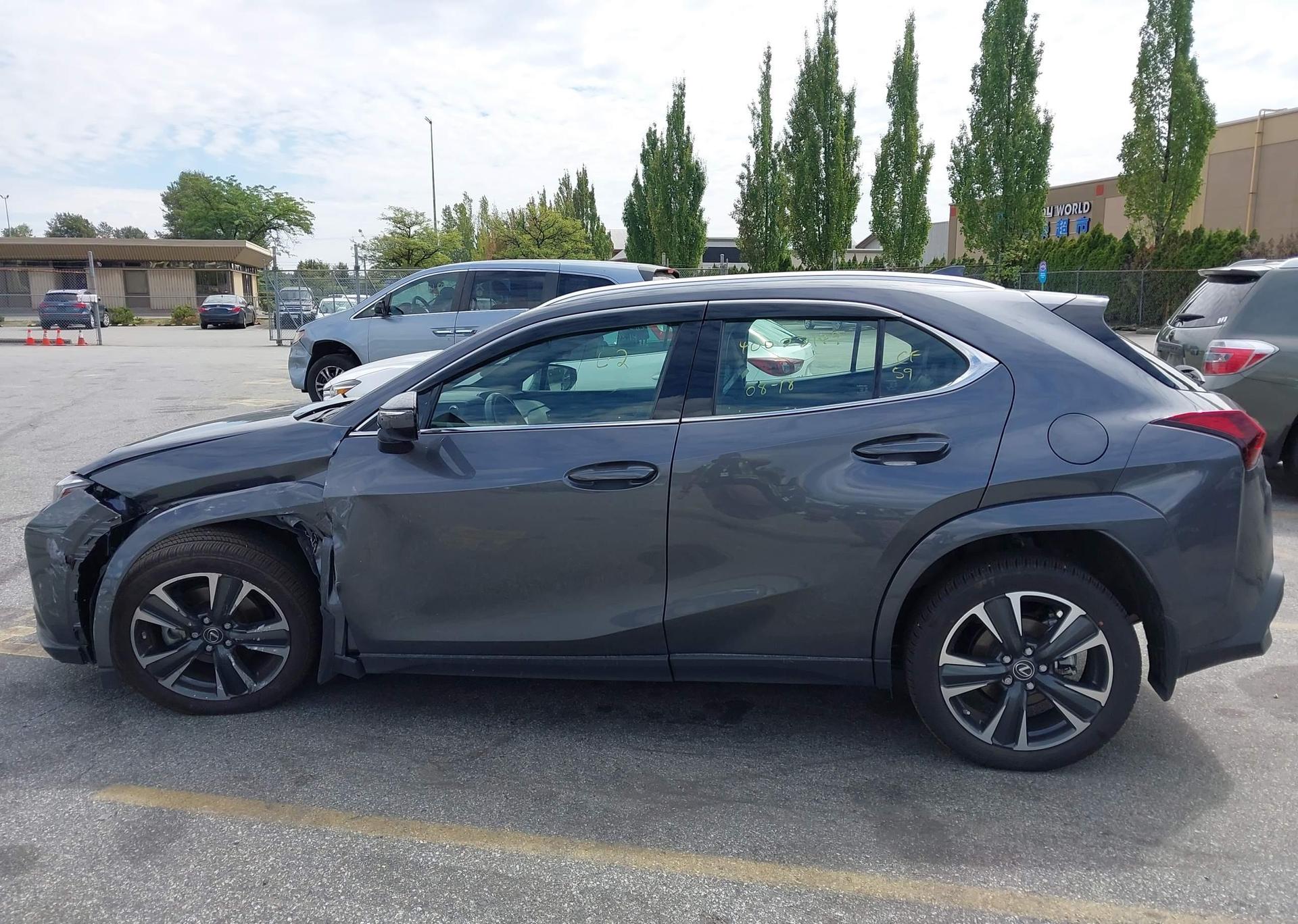 2024 LEXUS UX 250H