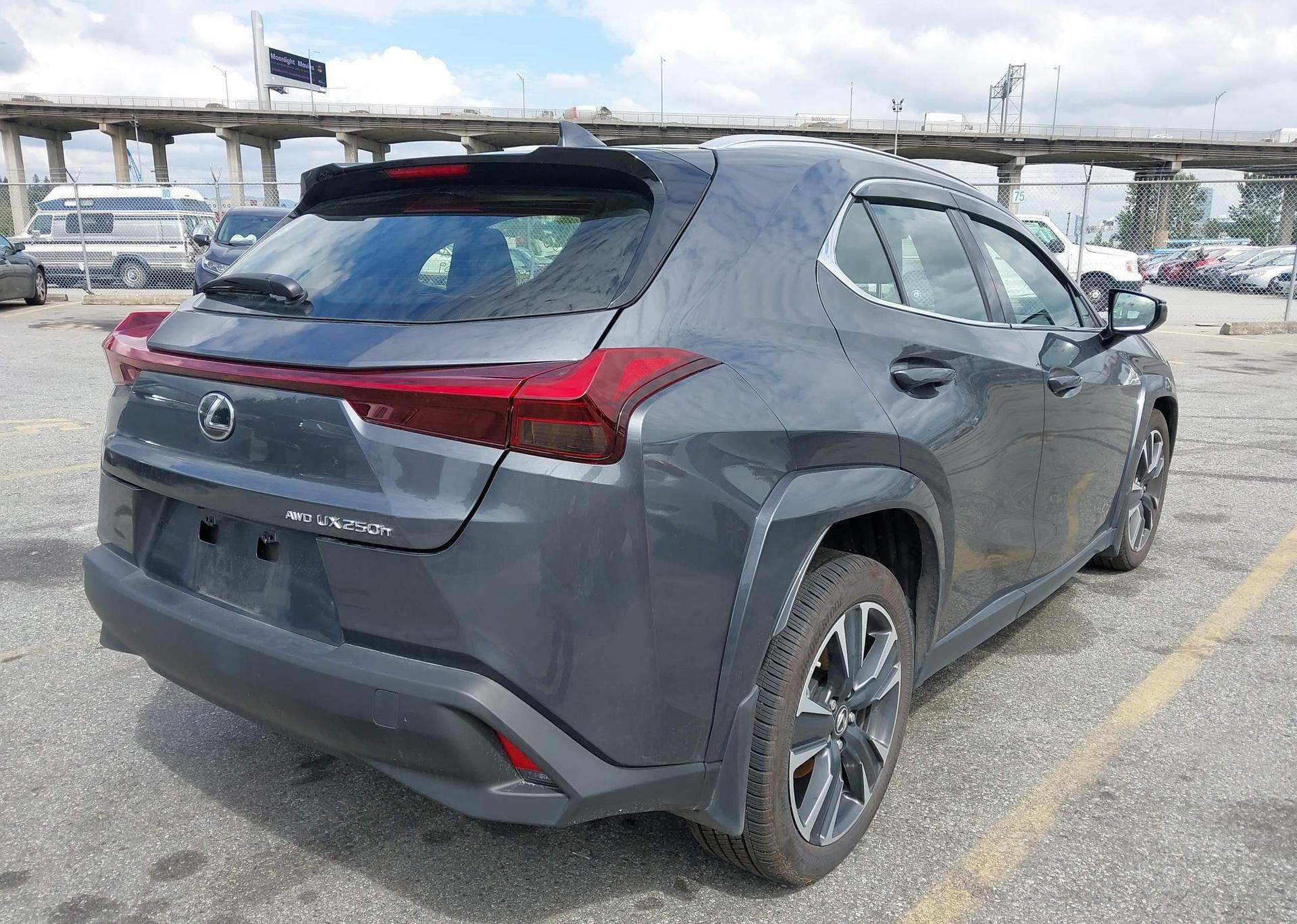 2024 LEXUS UX 250H