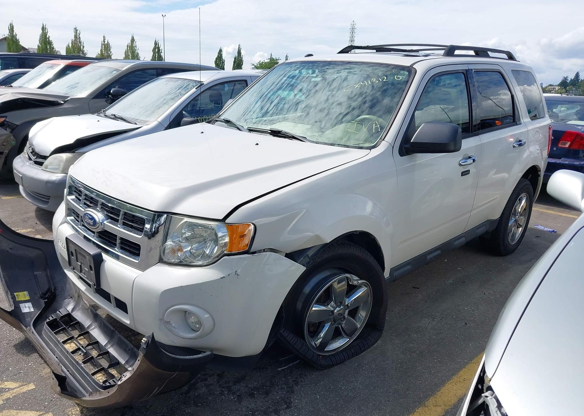 2011 FORD ESCAPE XLT