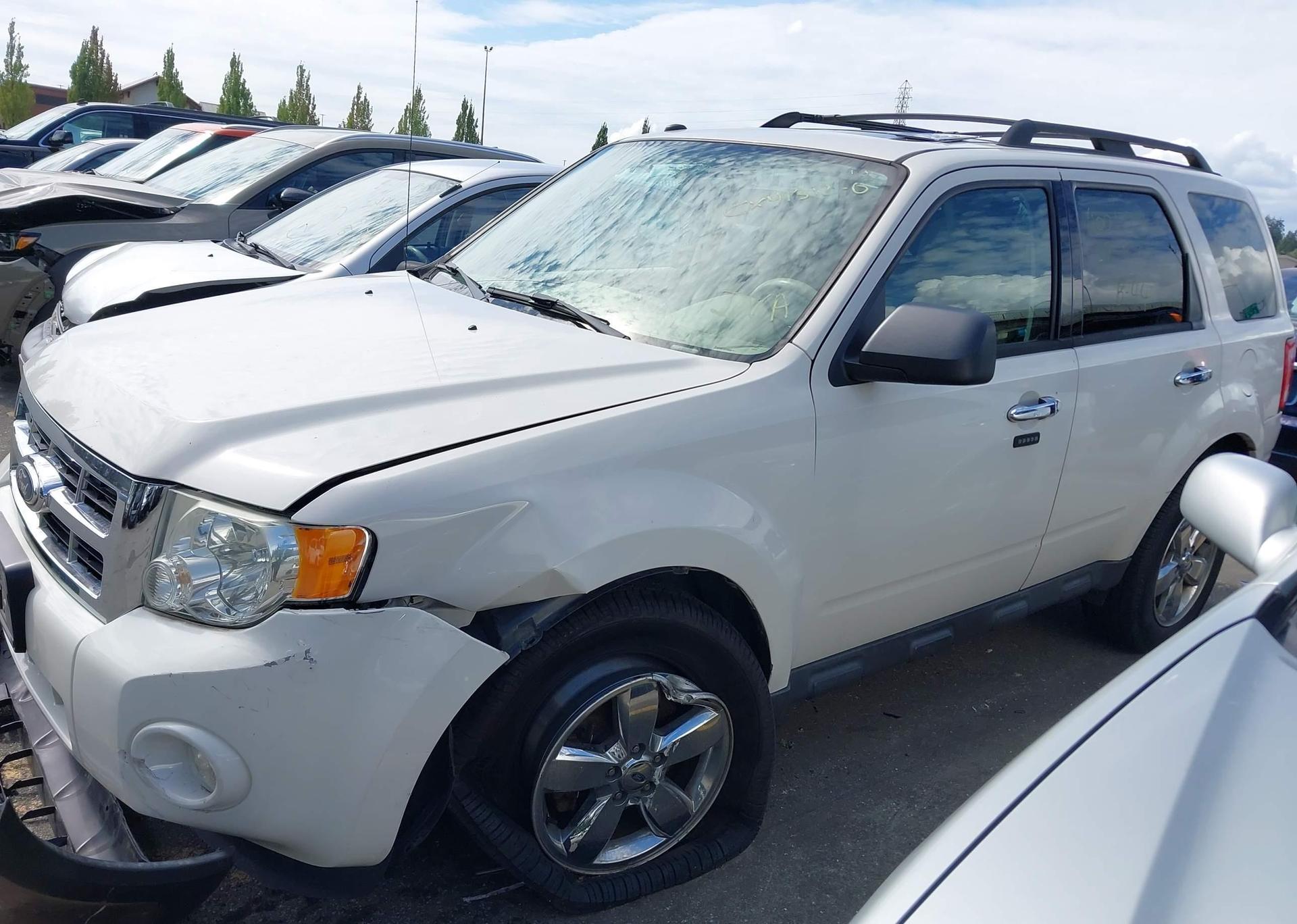 2011 FORD ESCAPE XLT