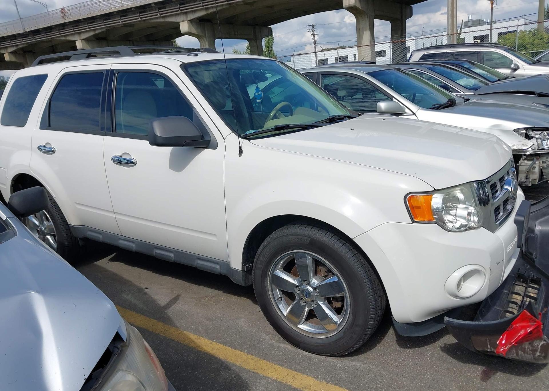 2011 FORD ESCAPE XLT