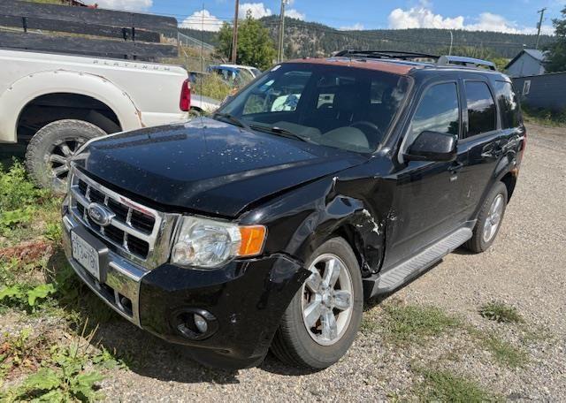 2010 FORD ESCAPE LIMITED