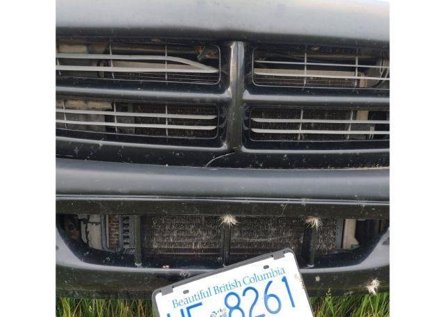2001 DODGE DAKOTA
