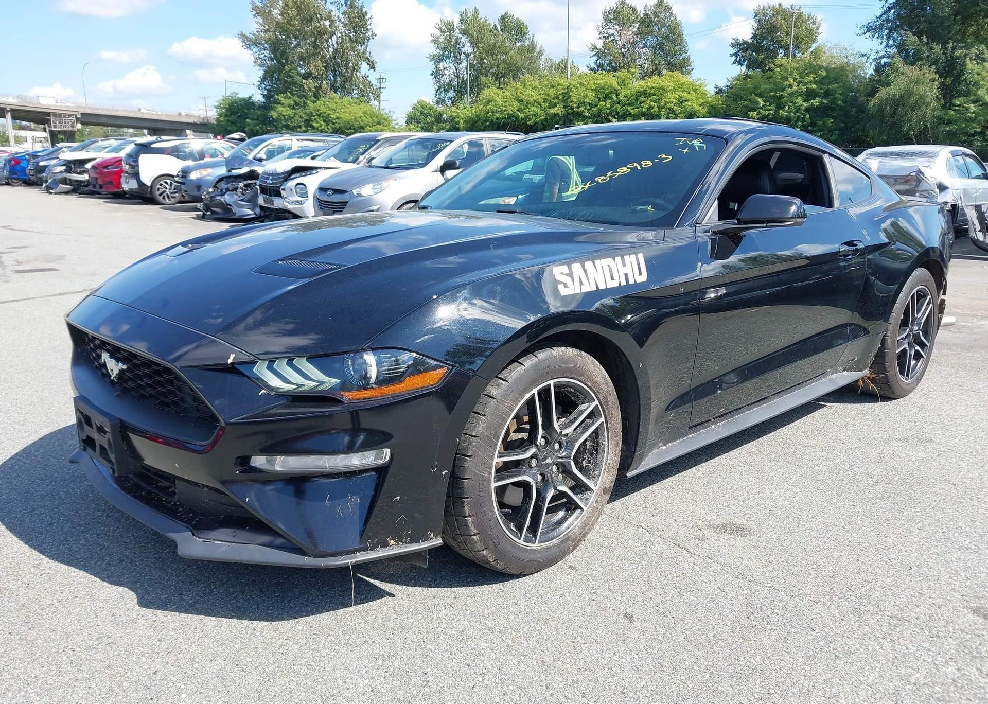 2019 FORD MUSTANG