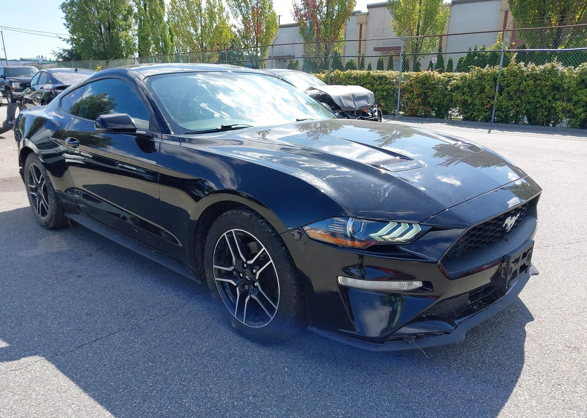 2019 FORD MUSTANG