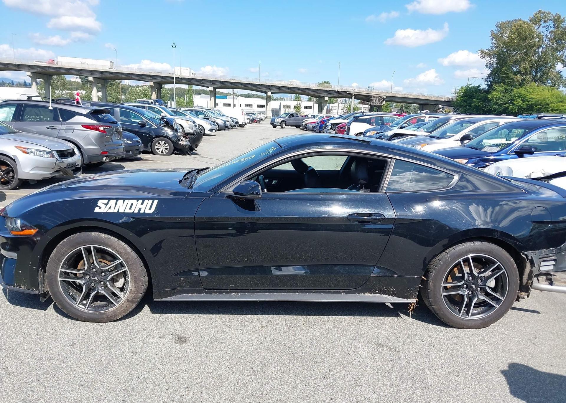 2019 FORD MUSTANG