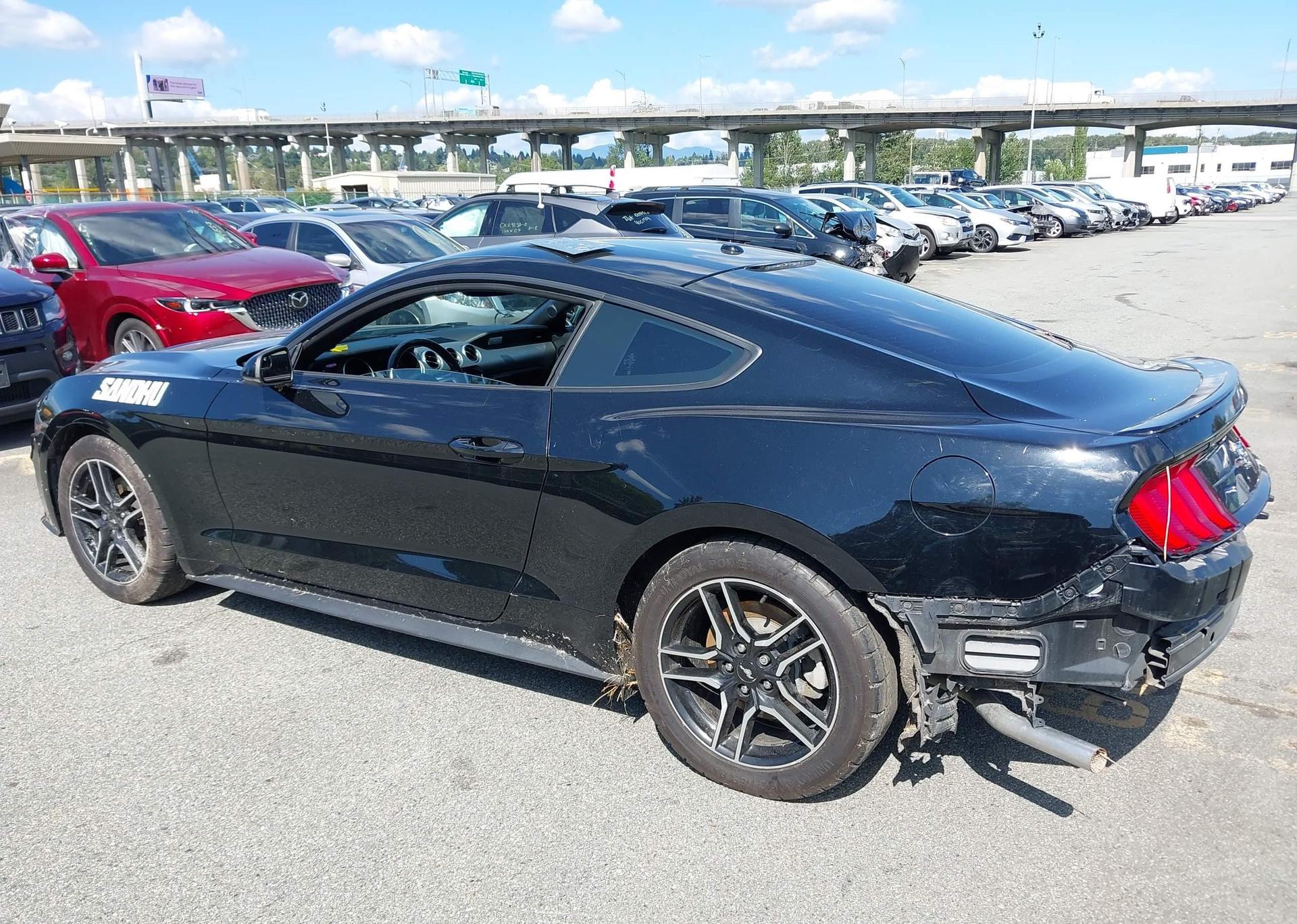 2019 FORD MUSTANG