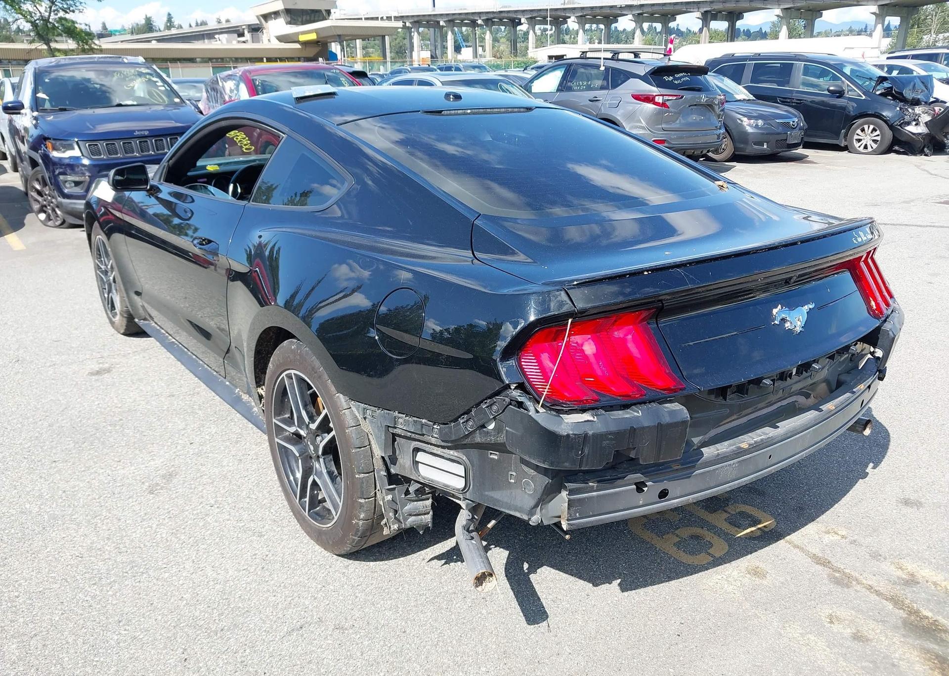 2019 FORD MUSTANG