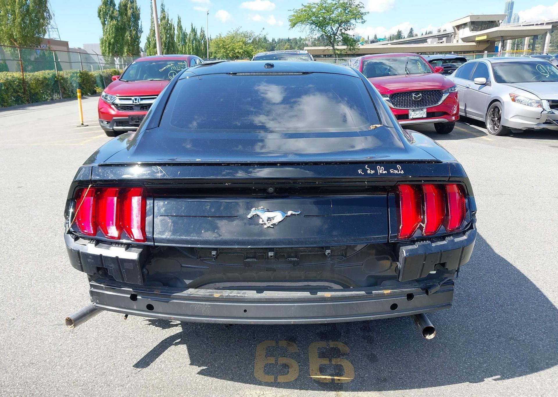 2019 FORD MUSTANG
