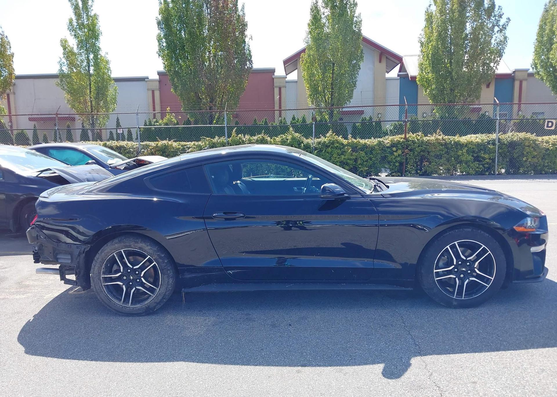2019 FORD MUSTANG