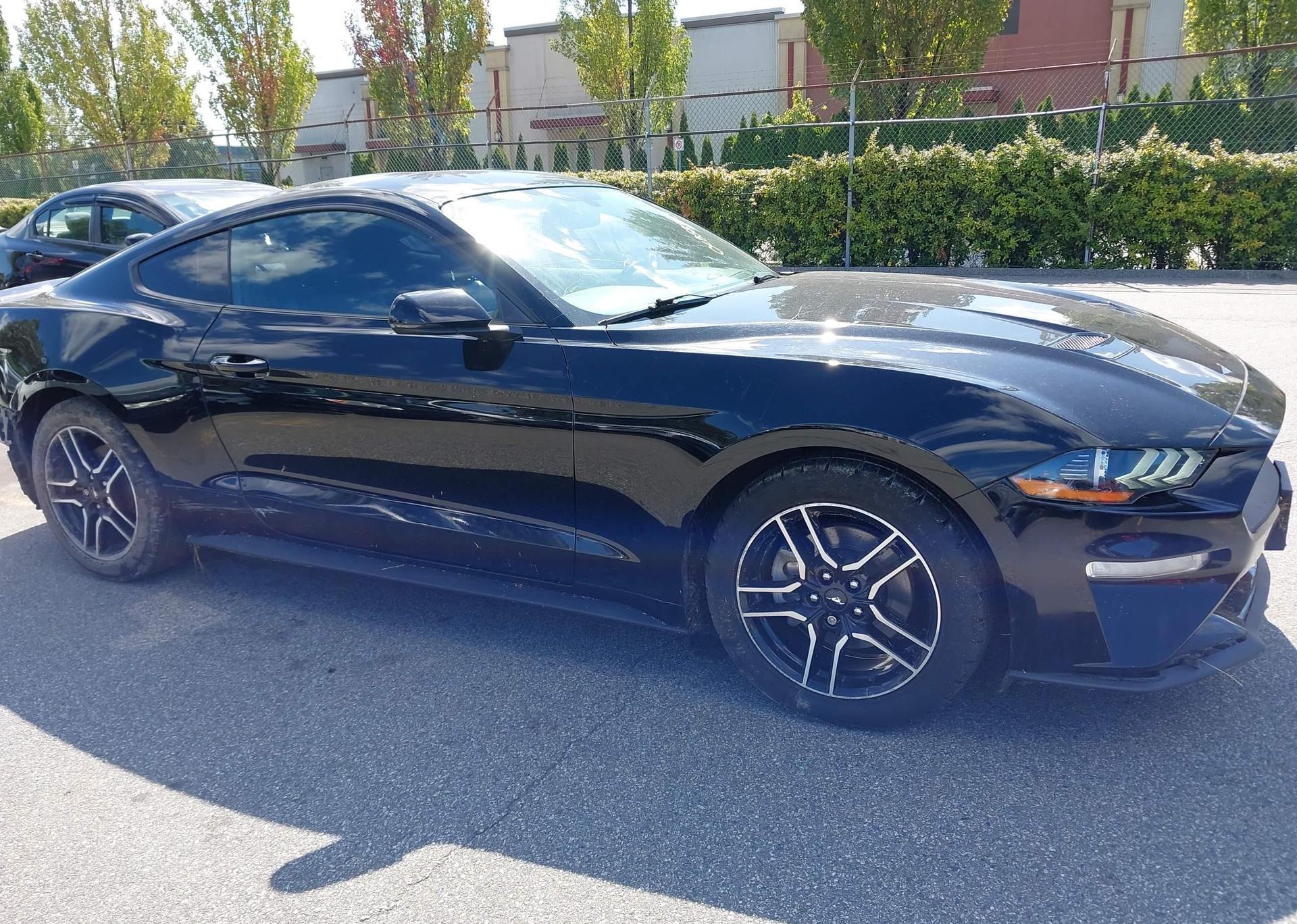 2019 FORD MUSTANG