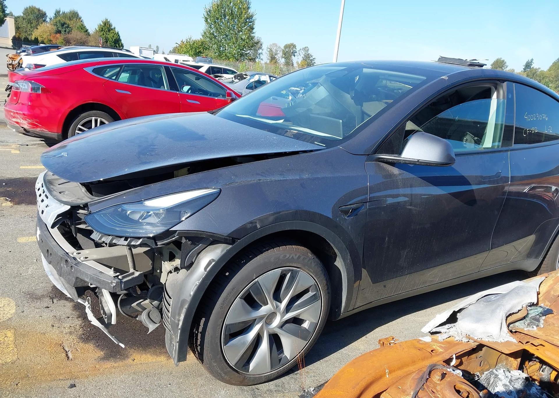 2023 TESLA MODEL Y