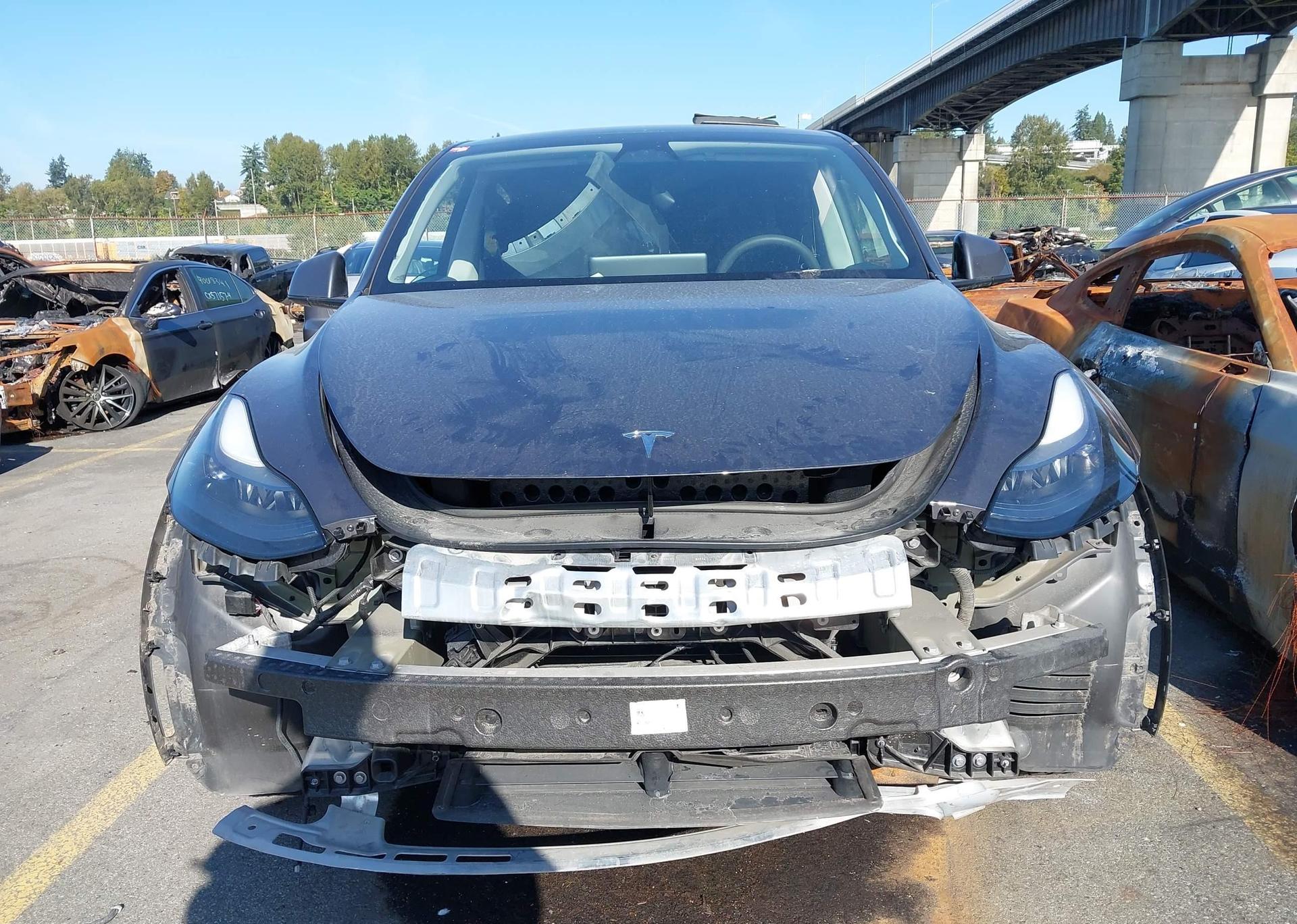 2023 TESLA MODEL Y