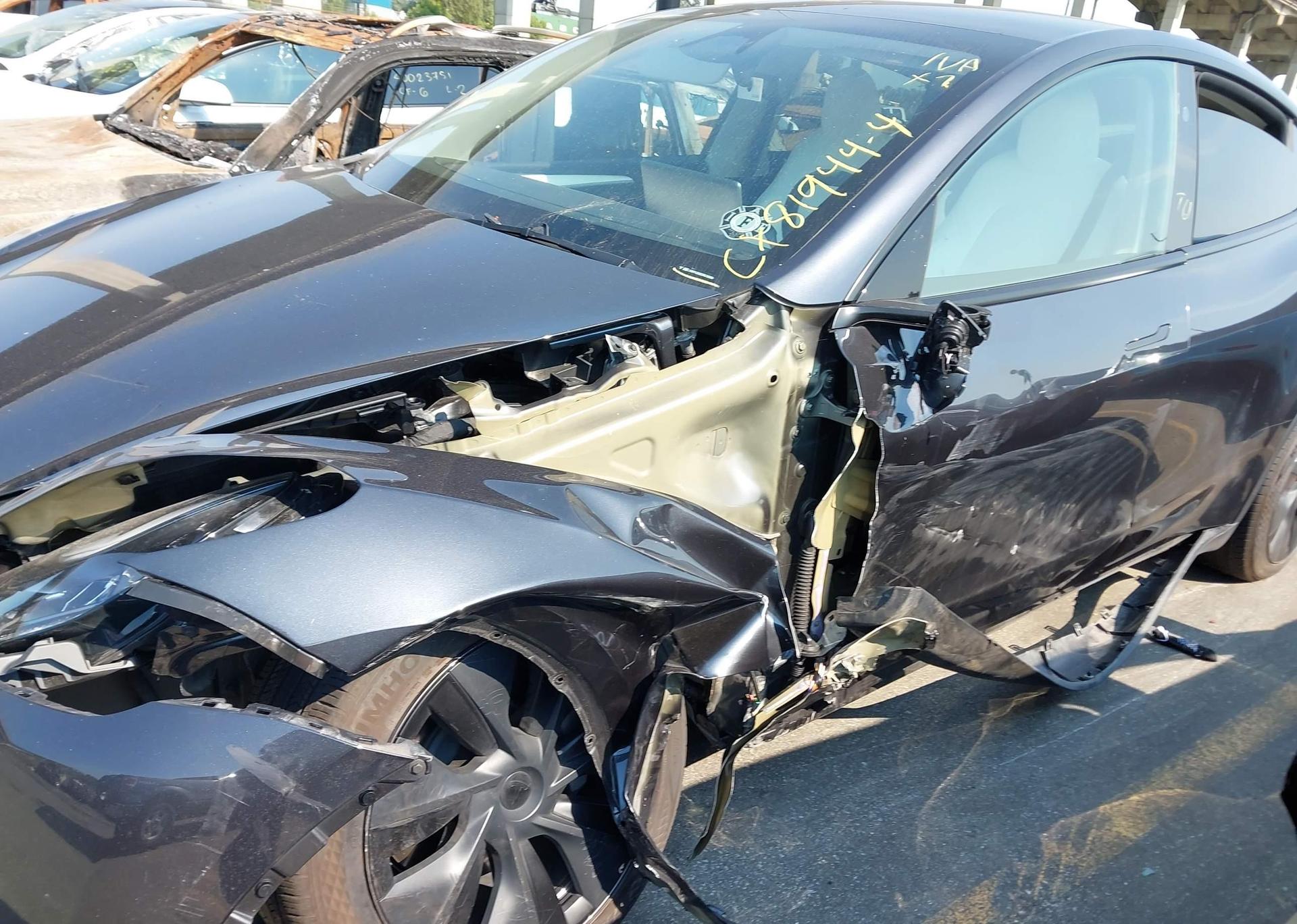 2024 TESLA MODEL Y