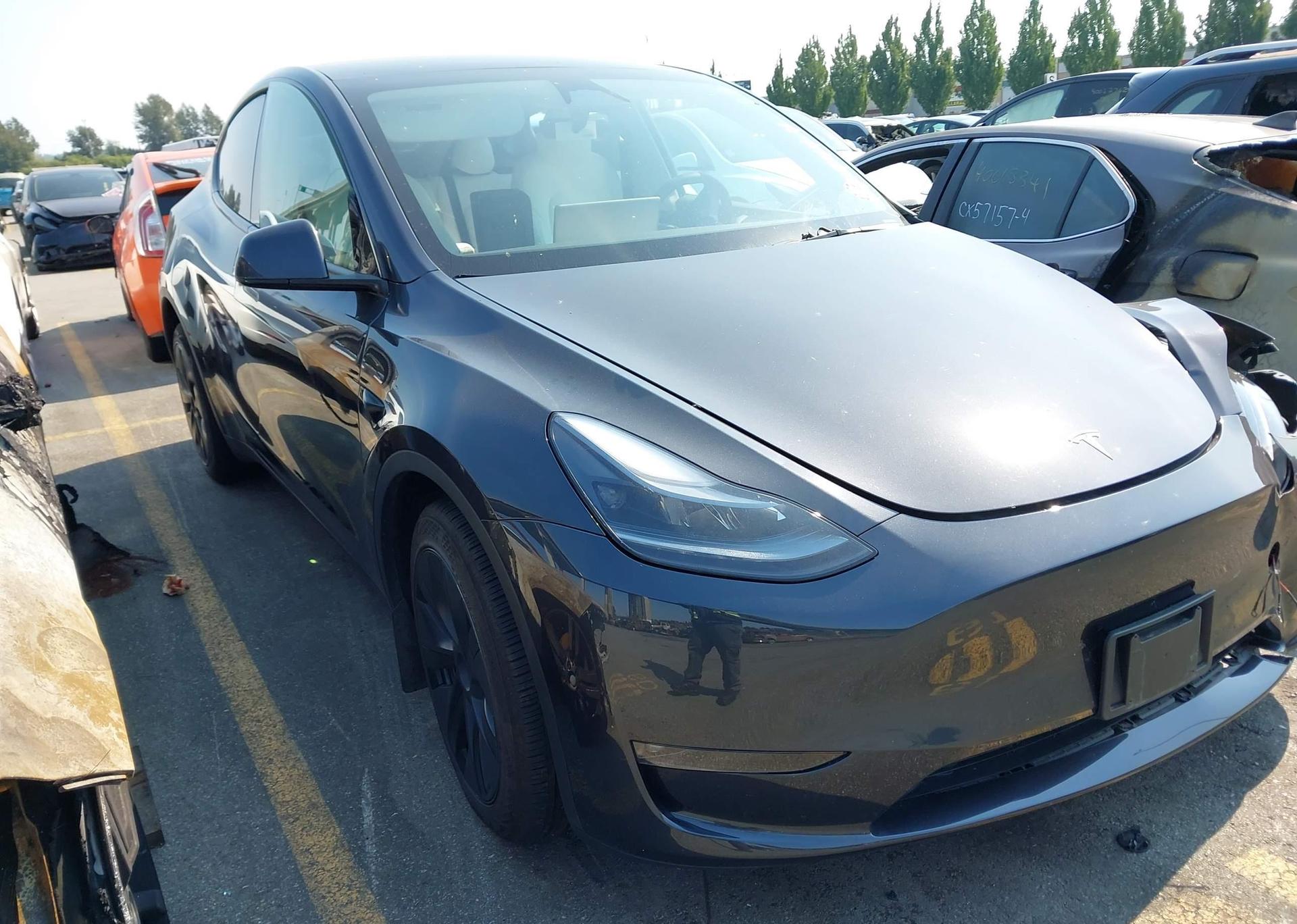 2024 TESLA MODEL Y