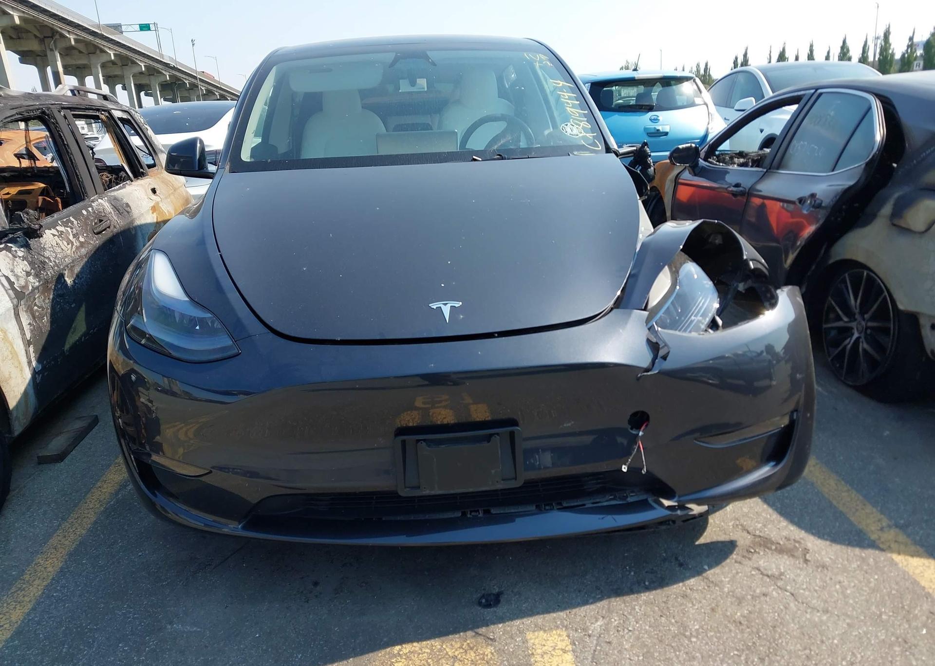 2024 TESLA MODEL Y