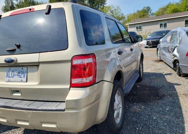 2012 FORD ESCAPE XLT
