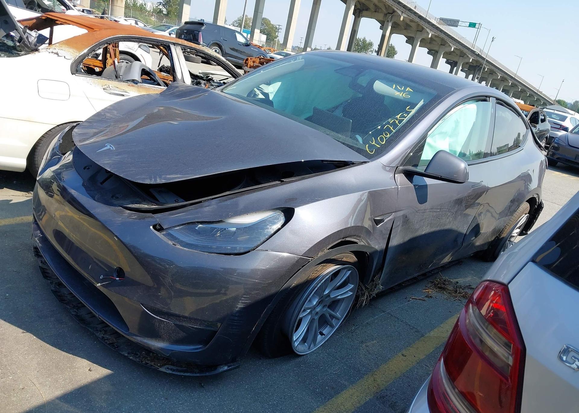 2023 TESLA MODEL Y