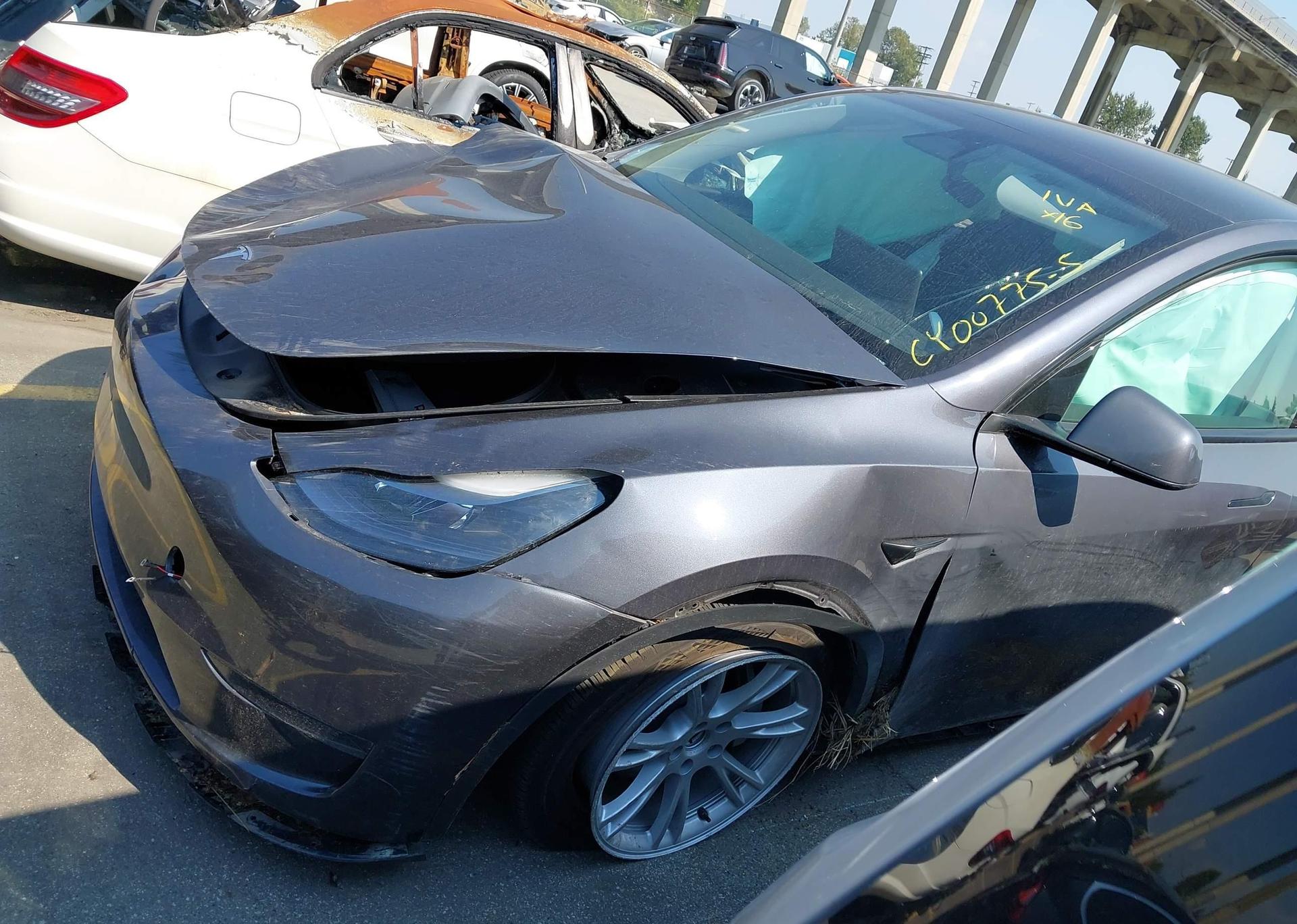 2023 TESLA MODEL Y
