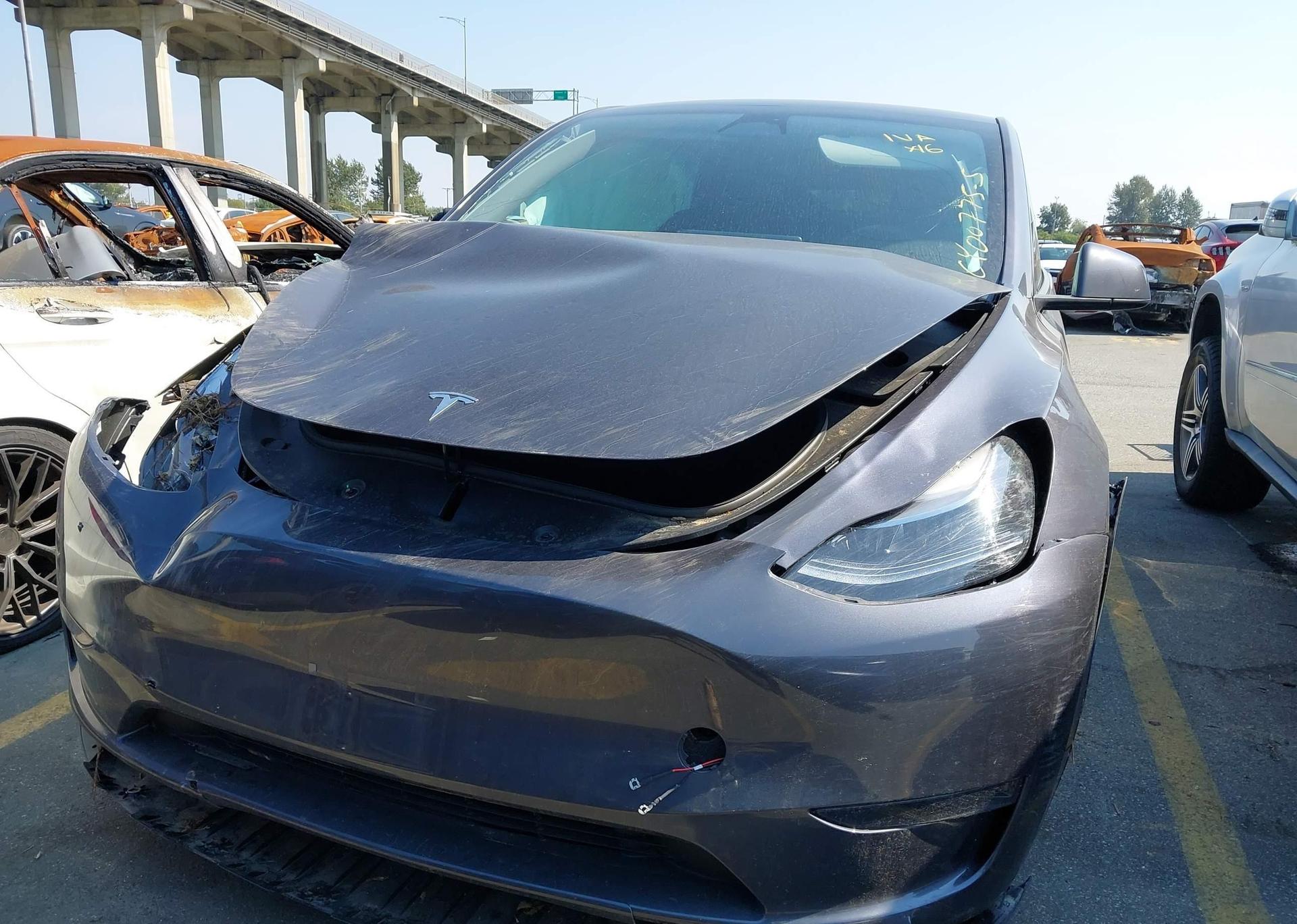 2023 TESLA MODEL Y