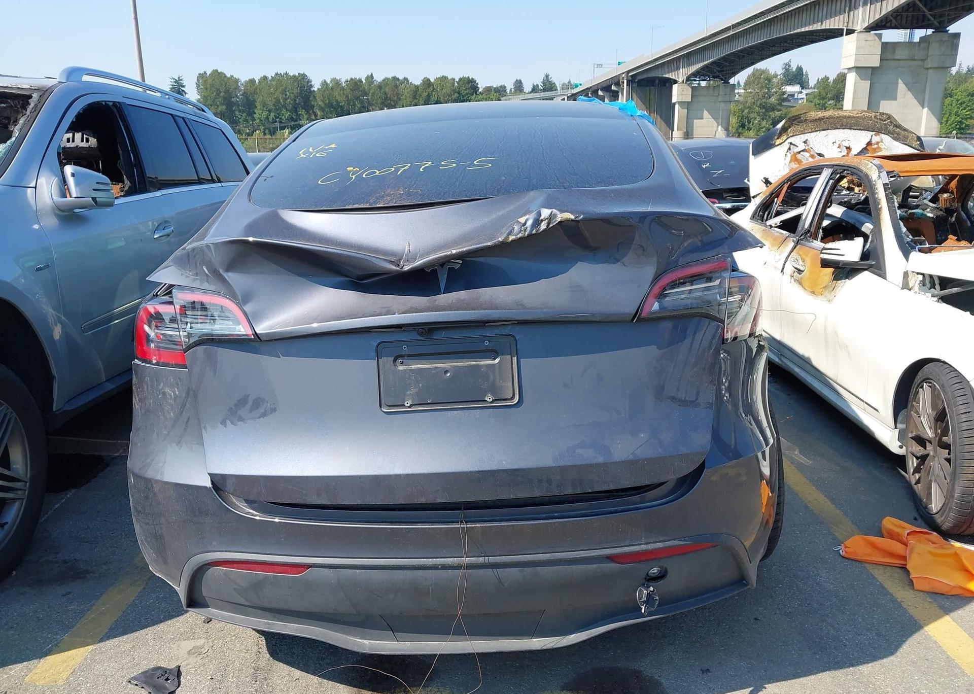 2023 TESLA MODEL Y