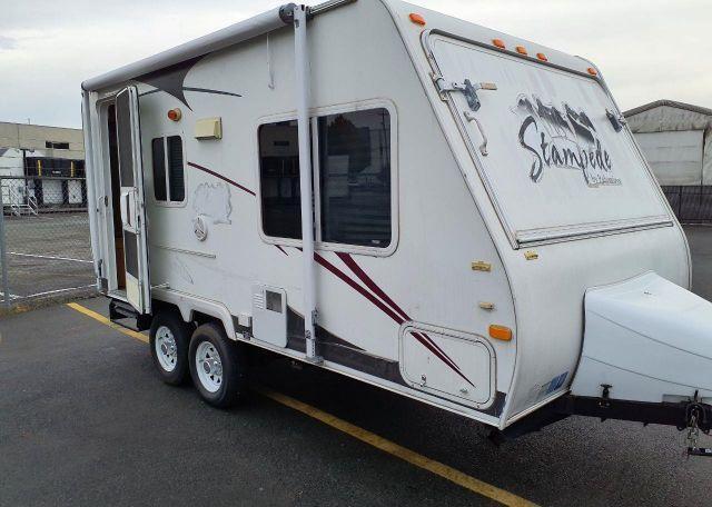 2007 PALOMINO STAMPEDE