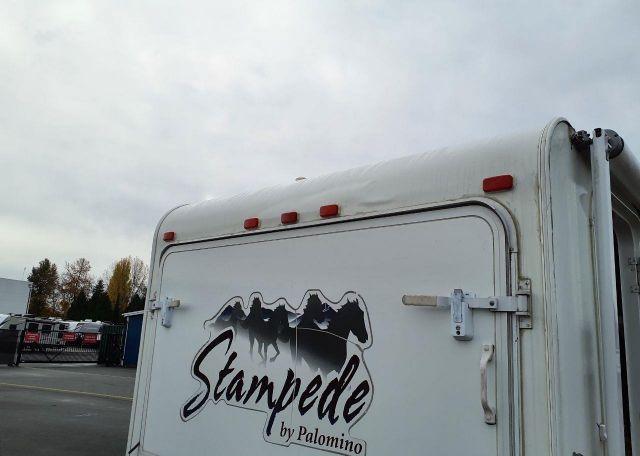 2007 PALOMINO STAMPEDE