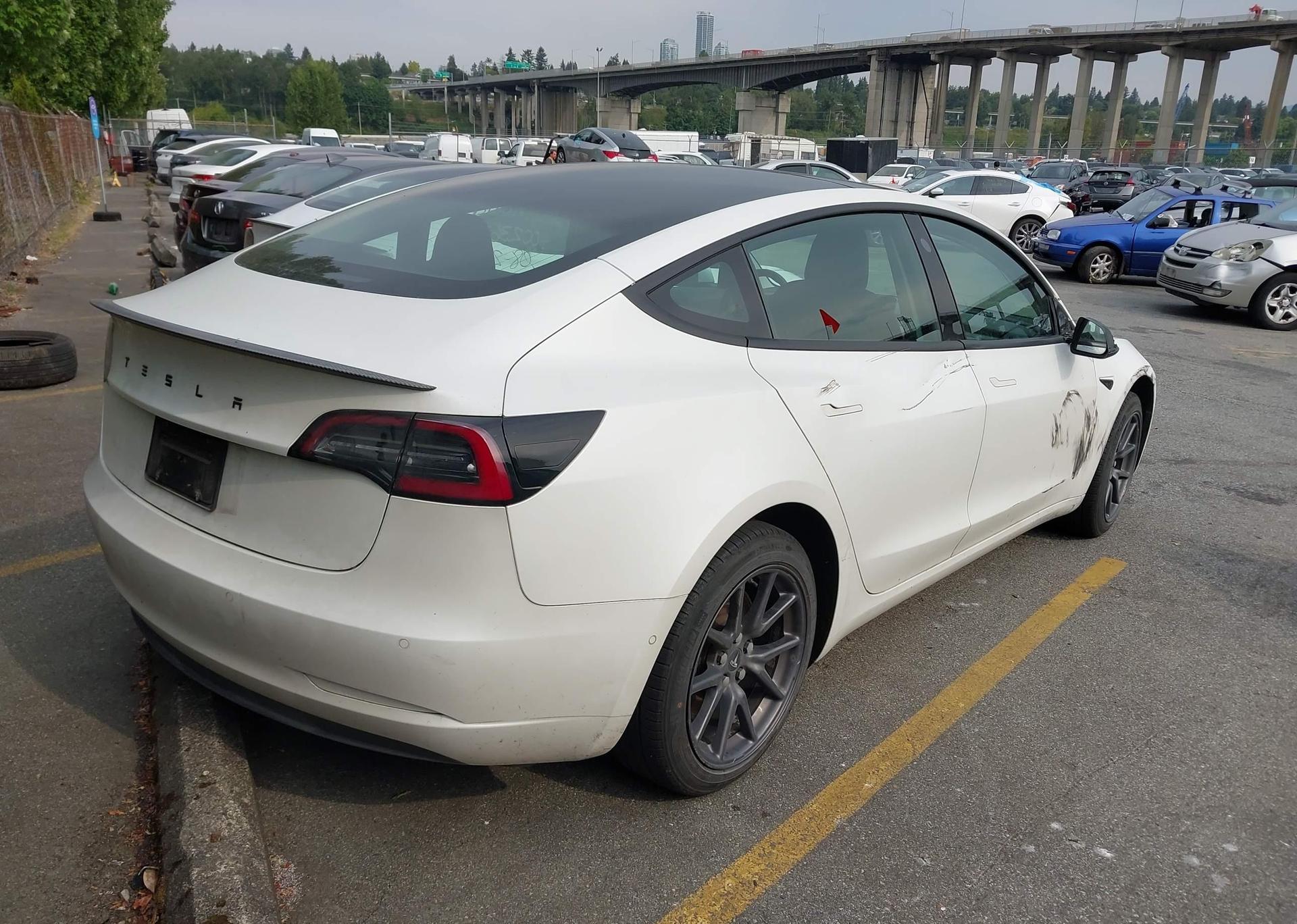 2019 TESLA MODEL 3