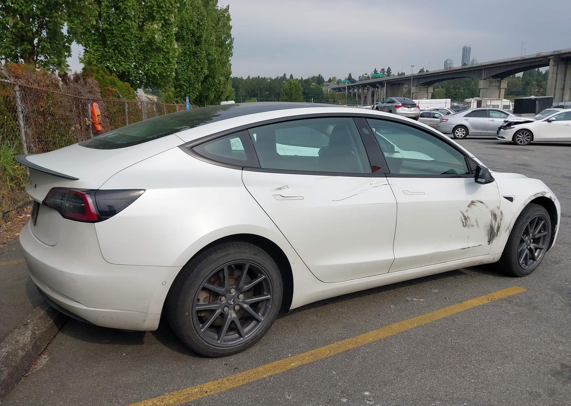 2019 TESLA MODEL 3