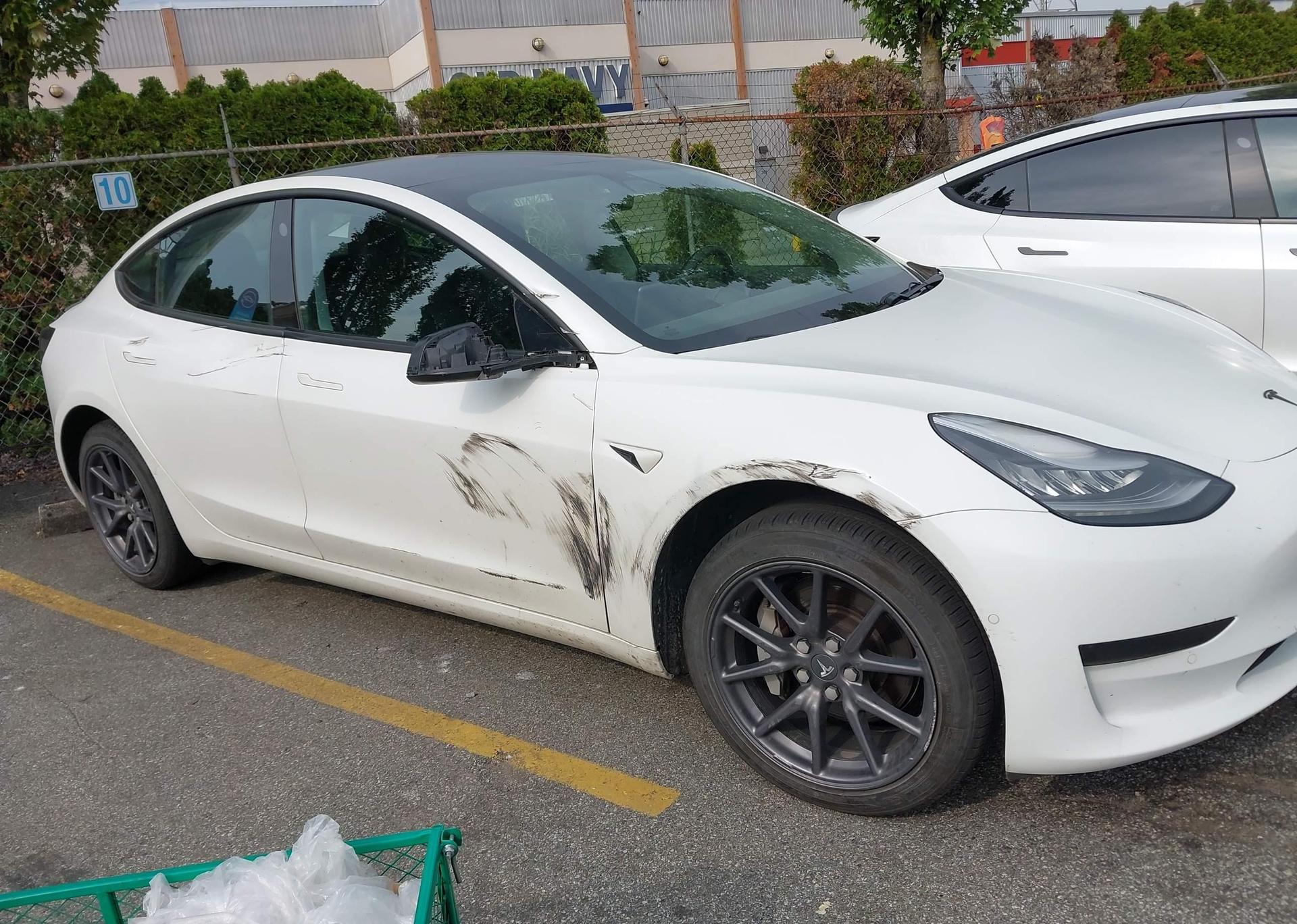 2019 TESLA MODEL 3