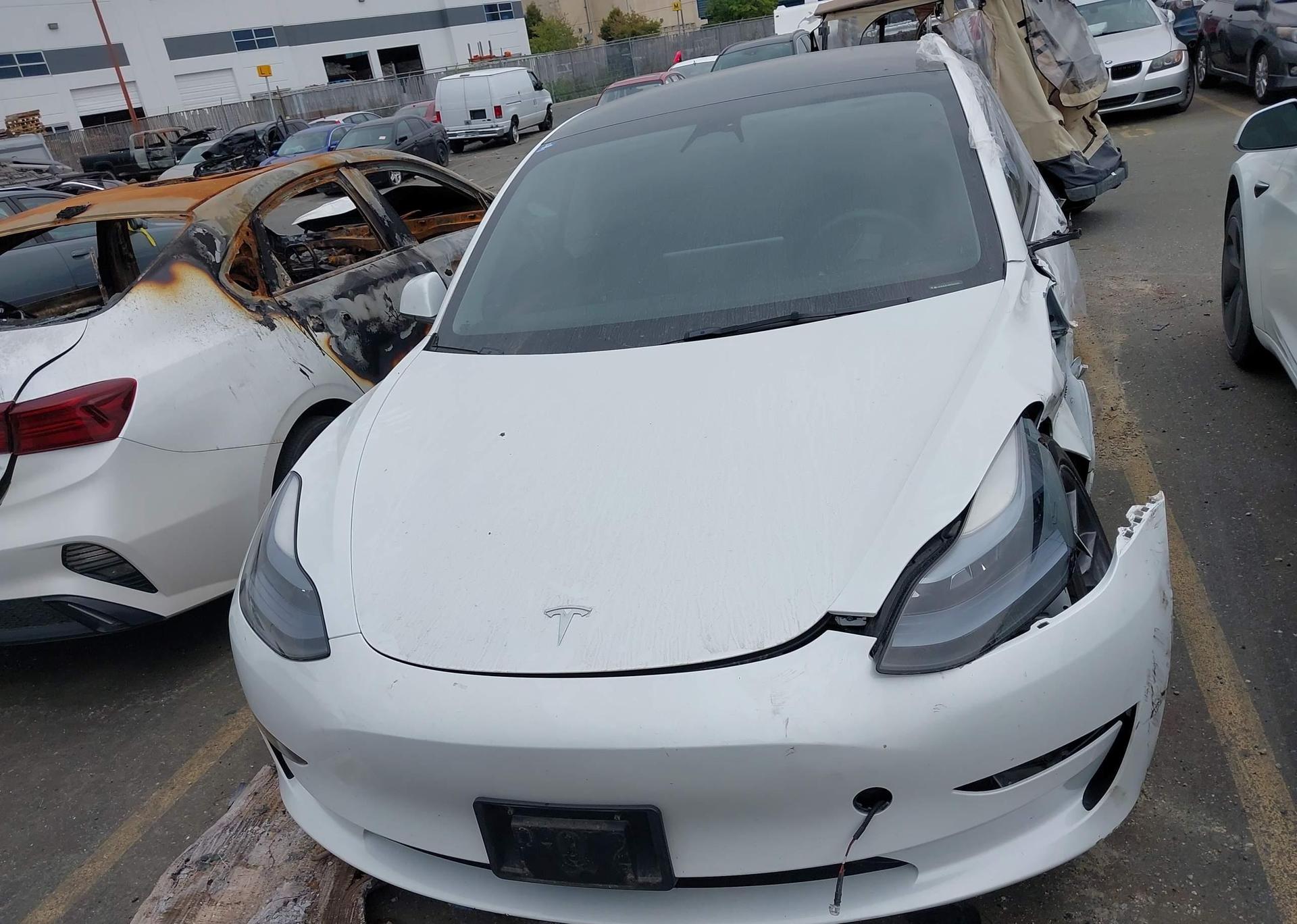 2023 TESLA MODEL 3