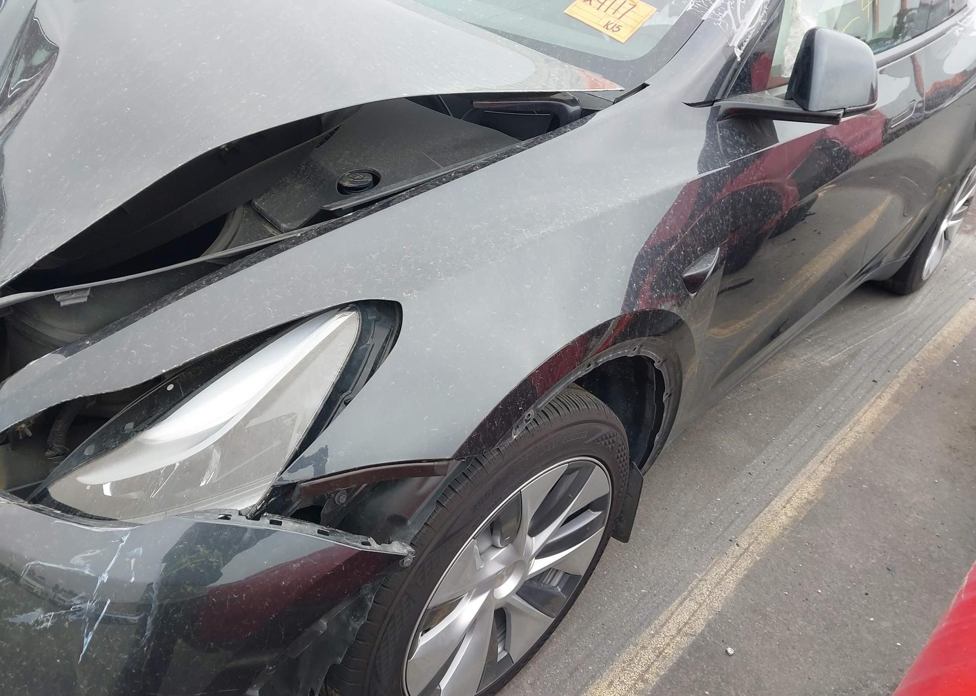 2024 TESLA MODEL Y