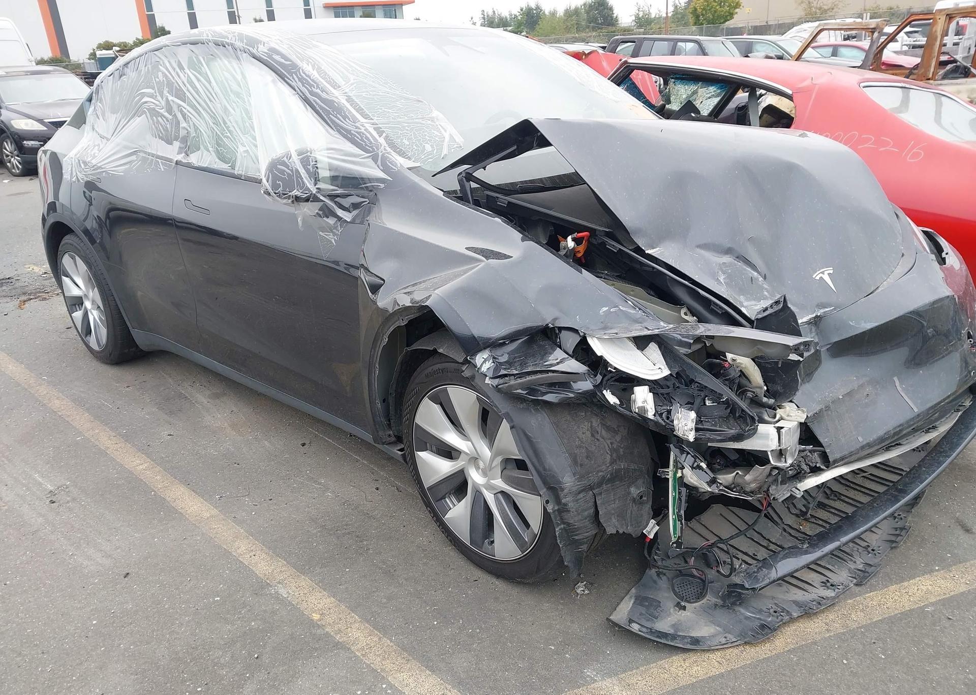 2024 TESLA MODEL Y