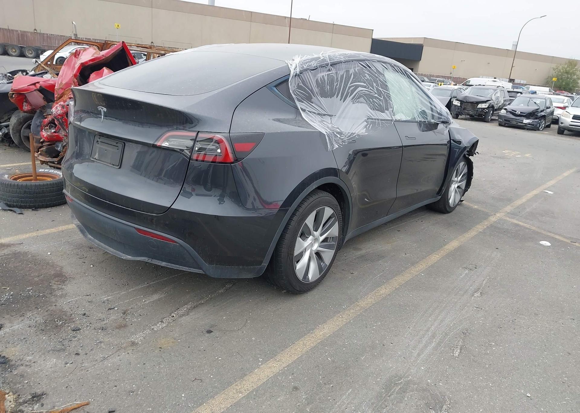 2024 TESLA MODEL Y