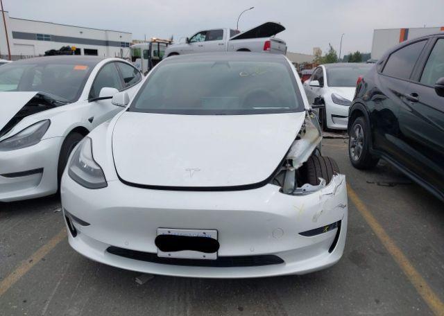2019 TESLA MODEL 3