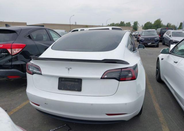2019 TESLA MODEL 3