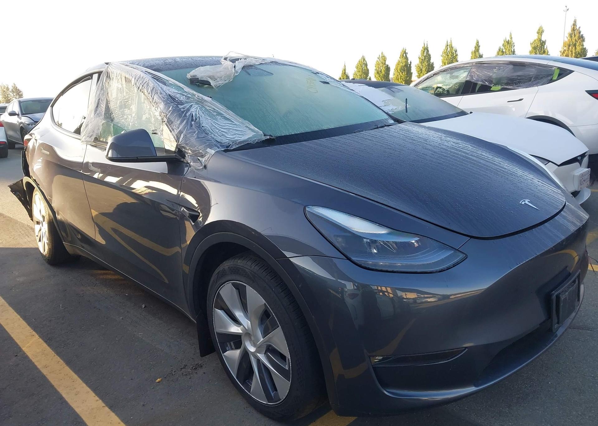 2023 TESLA MODEL Y