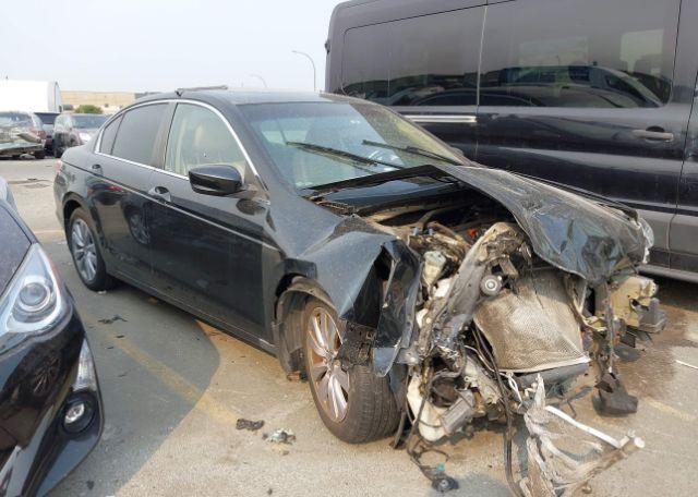 2011 HONDA ACCORD EXL