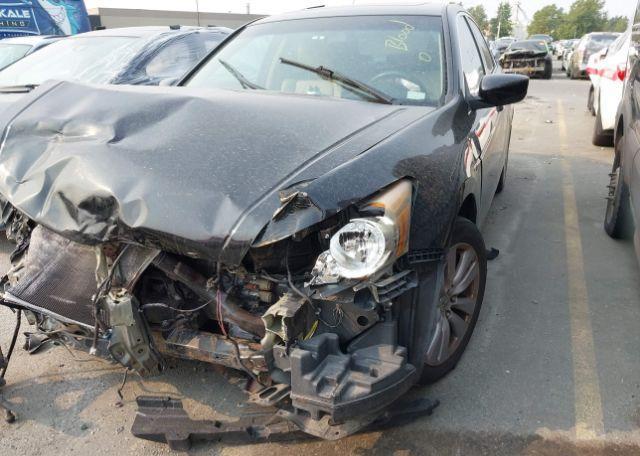 2011 HONDA ACCORD EXL