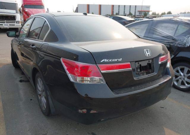 2011 HONDA ACCORD EXL