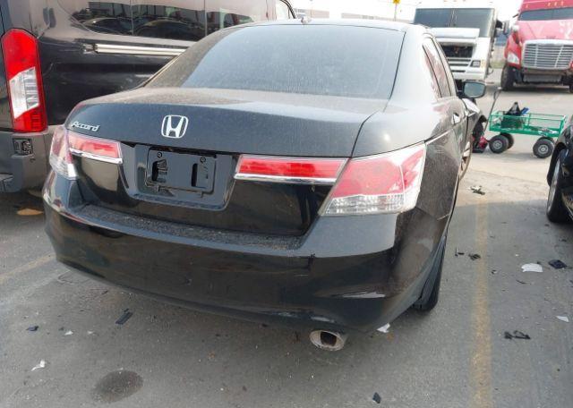 2011 HONDA ACCORD EXL