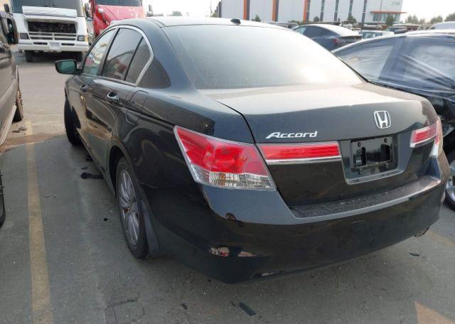 2011 HONDA ACCORD EXL
