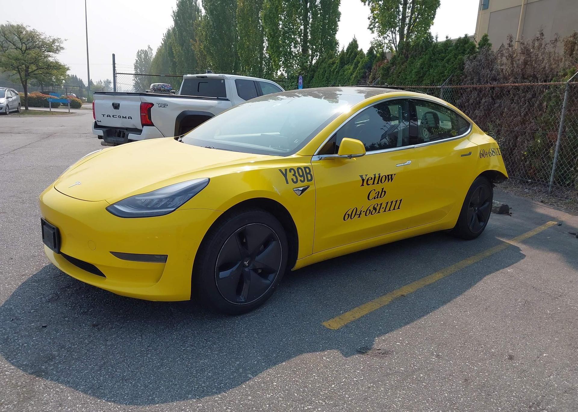 2020 TESLA MODEL 3