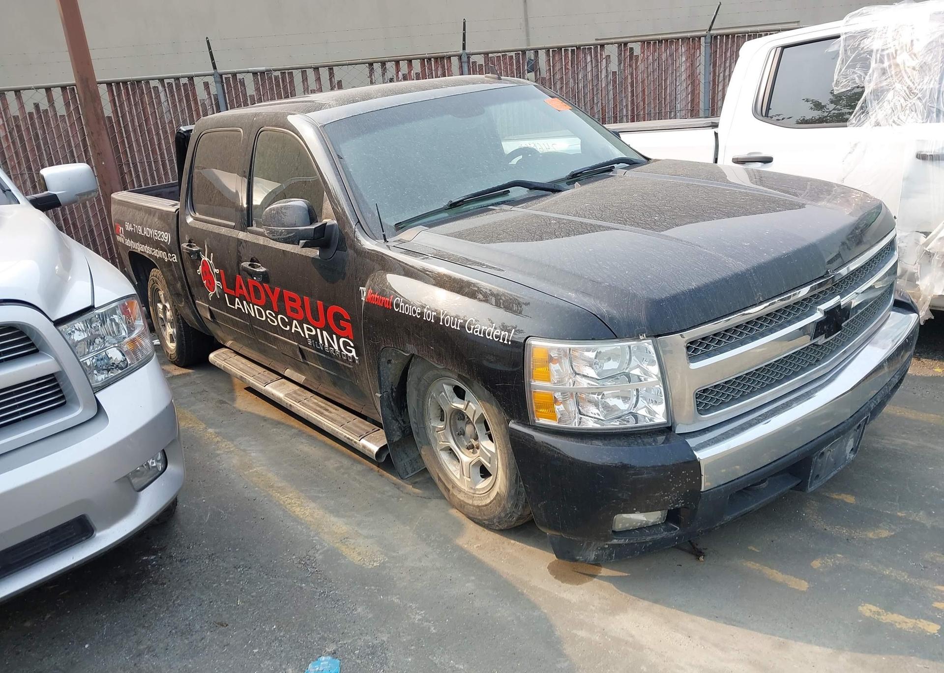 2008 CHEVROLET SILVERADO K1500