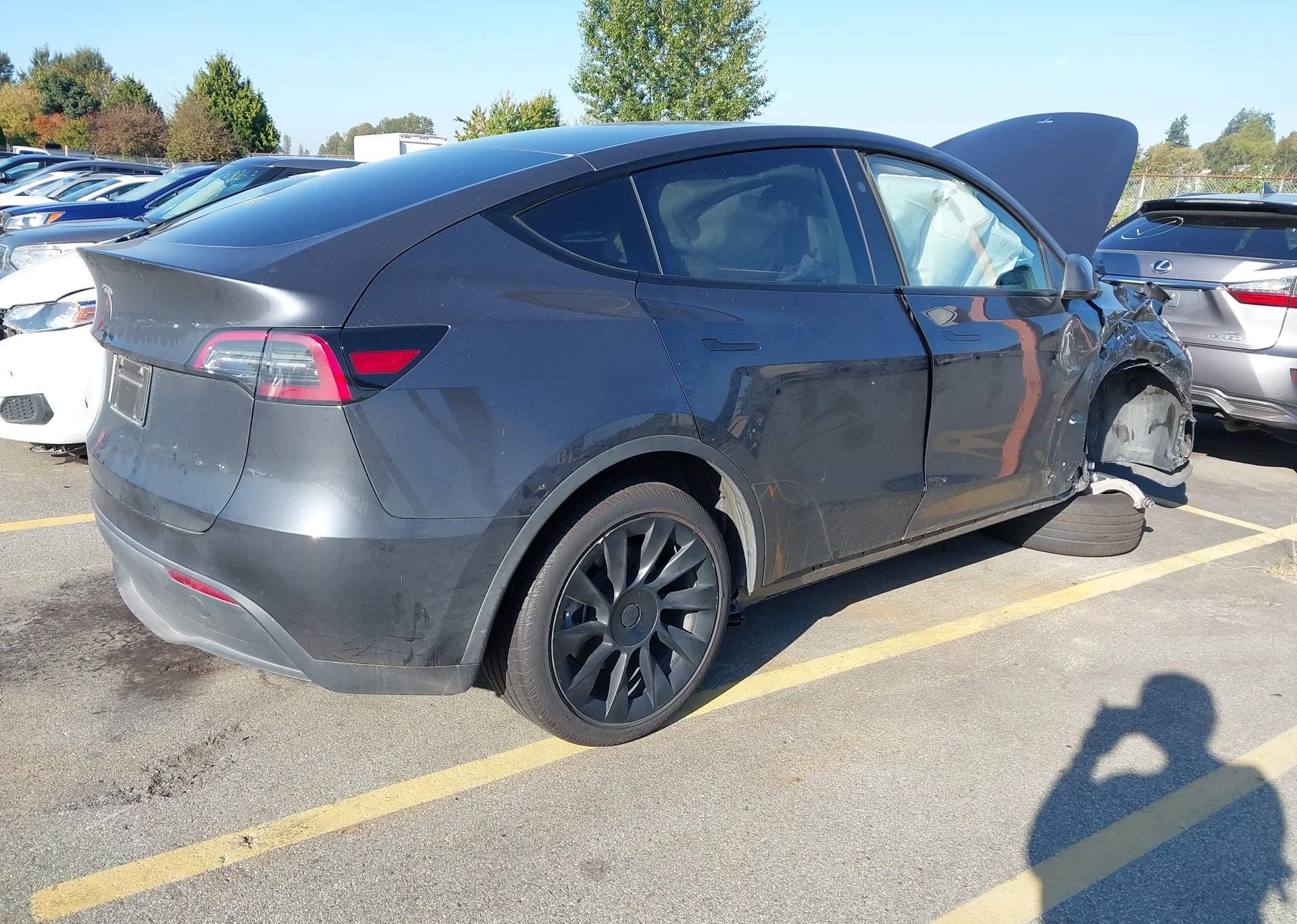 2024 TESLA MODEL Y