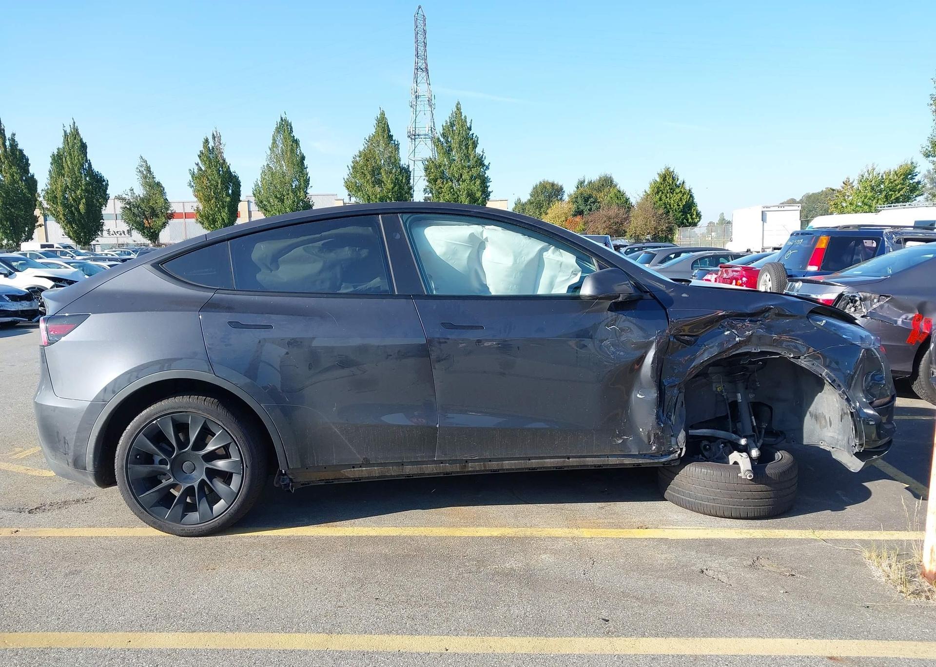 2024 TESLA MODEL Y