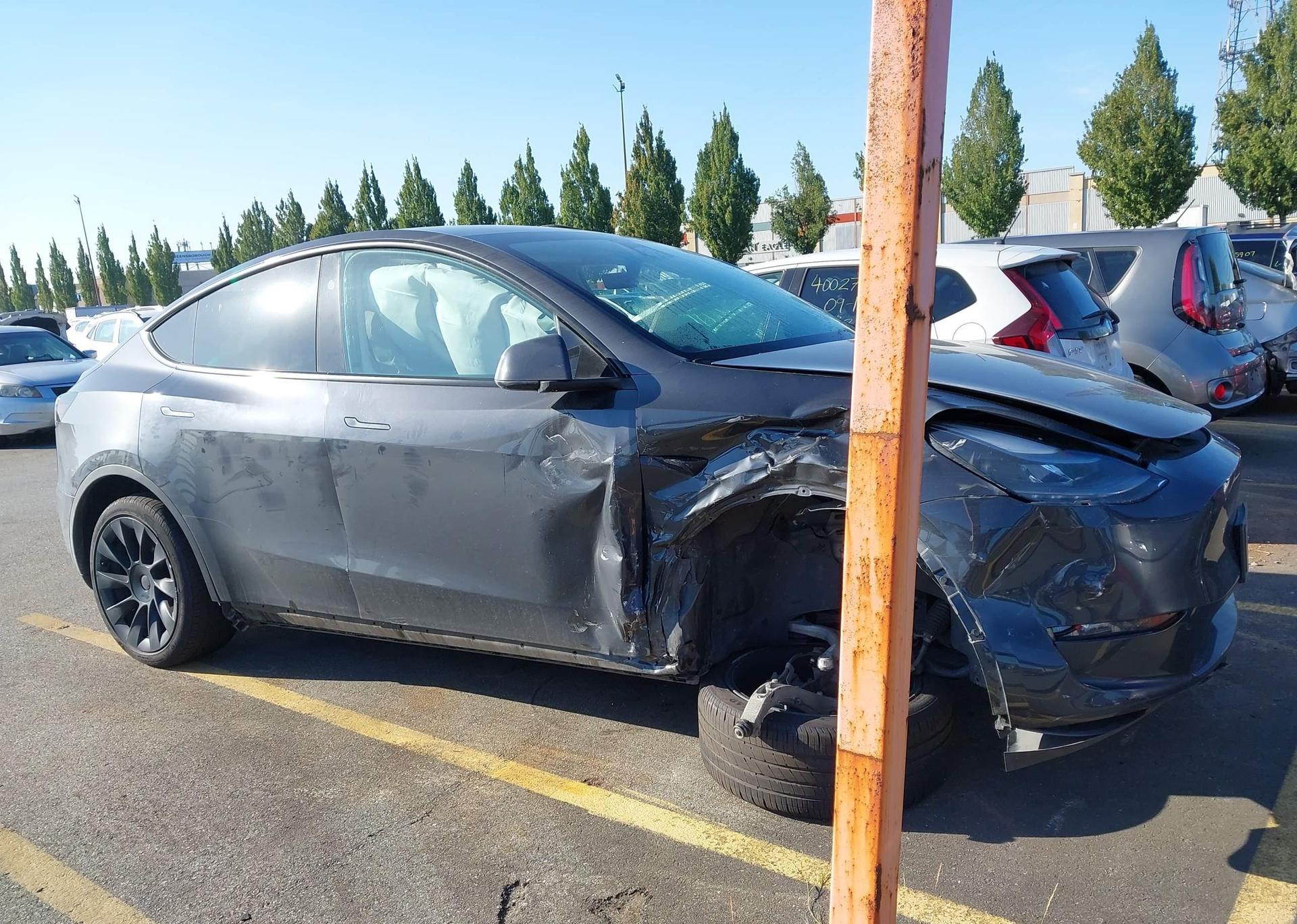 2024 TESLA MODEL Y